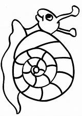 Schnecken Snail Snails Colouring sketch template