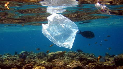 kunststoff plastik im meer werkstoffe technik planet wissen