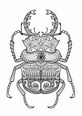 Zentangle Scarabee Coloriages Adulte Beetles Insectes Scarabée Coloringbay Insecte Imprimer Sublime Insetti Mandalas Armadillo 123rf Fur Stag Zentangles Extraordinary Incroyables sketch template
