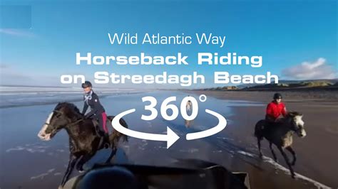 vr drone riding horseback   beach youtube