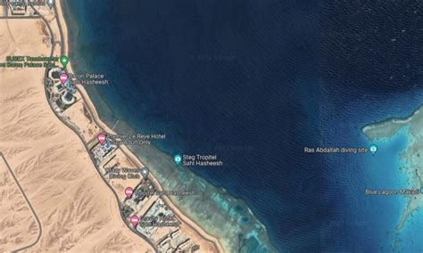 update romanca de  de ani ucisa de rechin  egipt este  doua victima  ultimele zile