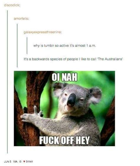 A Koala Bear Sitting On Top Of A Tree Next To A Caption That Reads Oh
