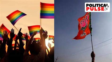 same sex marriage as centre opposes it how bjp sangh s stand on