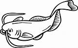 Catfish Flathead Crappie Clipartmag sketch template