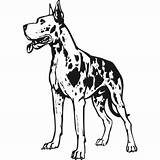 Dane Harlequin Dogge Sticker Hund Wandtattoo Lps Vets Coloringhome sketch template