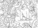 Dschungeltiere Ausmalbilder sketch template