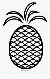 Pineapple Barbecue Grill Coloring Clipartkey sketch template