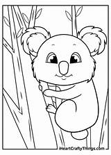 Koalas Coloring Koala Iheartcraftythings sketch template