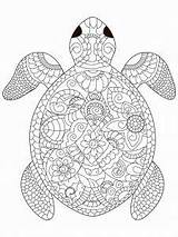 Coloring Turtle Mandala Pages Sea Vector Adult Adults Schildkröte Book Stock Illustration Anti Animal Un Colouring Mit Zentangle Tortue раскраски sketch template