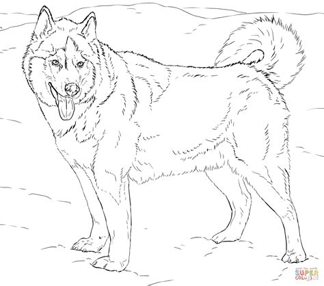 difficult husky coloring page google search dog coloring page