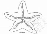 Starfish Coloringpage sketch template