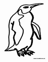 Antarctica Penguin Antarctic Pages Colormegood sketch template