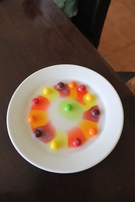 skittles science experiment  kids science experiment finlee