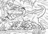 Dinozaury Druku Velociraptor Kolorowanki Dinozaur Kolorowanka Planetadziecka Drukowania sketch template
