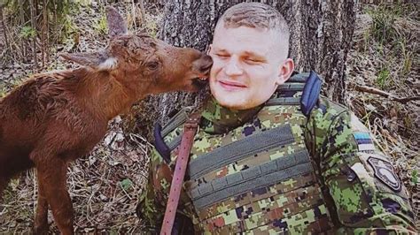 Estonian Troops Turn Moose Sitters Bbc News