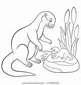 Otter Coloring Pages River Mother Baby Drawing Outline Cute Color Daughter Vector Printable Clip Getcolorings Illustrations Looks Getdrawings Similar sketch template