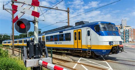 trains   netherlands delayed due  animal incidents