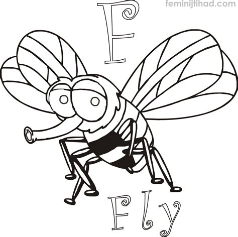 fly coloring page  getdrawings