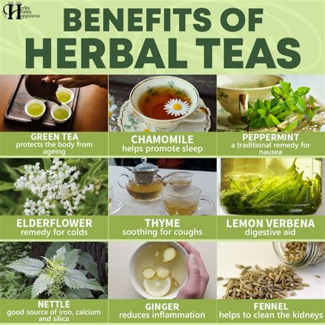 benefits  herbal teas herbs health happiness