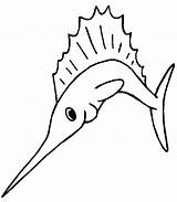 Coloring Fish Angel Library Clipart Sailfish sketch template