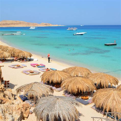 hurghada egypt tours   hurghada vacation packages croconile