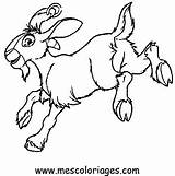 Colorat Desene Oi Animale P42 Planse Mouton Miel Primiiani Copii sketch template