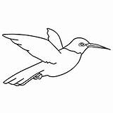 Coloring Pages Hummingbird Humming Bird Toddler Articles sketch template