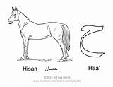 Alphabet Arabic Horse Worksheets حصان Letter Haa Pages Activities Language Coloring Kids Activity Sound Name Amazon Color English Sixth Animal sketch template