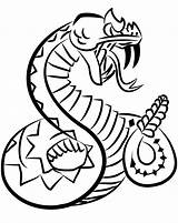 Rattlesnake Diamondback Rattlesnakes Snakes Logodix Heaviest Americas Venomous sketch template