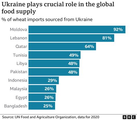 ukraine export  harvest   world bbc news