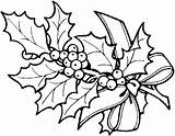 Coloring Pages Christmas Holly Tropical Fruits Flower Berry Rainforest Disney Kids Fruit sketch template