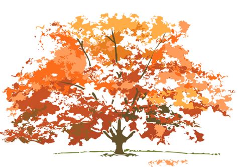 Free Fall Tree Clipartsr Download Free Fall Tree Clipartsr Png Images