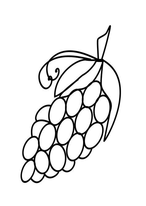 fruits drawings grapes coloring page child coloring