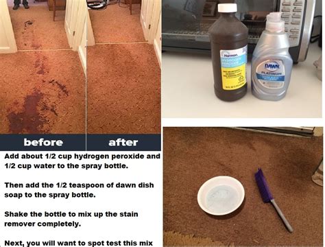 top   carpet cleaner   pet stains  reviews