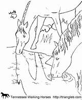 Tennessee Schleich Pferde sketch template