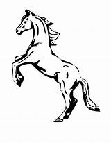 Mustang Outline Drawing Horse Coloring Pages Getdrawings sketch template