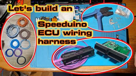 lets build  speeduino ecu wiring harness youtube