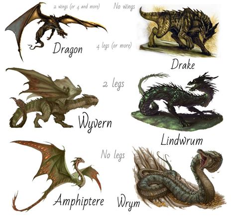 types  dragons fantasy creatures dragon artwork
