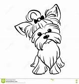Yorkshire Terrier Coloring Pages Yorkie Dog Drawing Coloriage Raichu Vector Stencil Dogs Silhouette Illustration Sketch Drawings Getcolorings Sitting Stock Funny sketch template