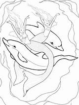 Colorare Delfini sketch template