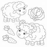 Lamb sketch template