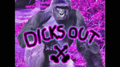 Dicks Out 4harambe Youtube