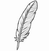 Feather Outline Clipart Vector Simple Eagle Feathers Quill Single Vectorstock Template Clip Drawing Cliparts Tribaliumvs Indian Native Bird American Tattoos sketch template