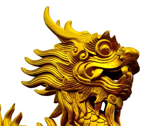 dragon gold golden dragons  photo  pixabay