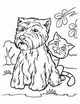 Coloring Pages Cat Dog Puppies Puppy Kittens Kids Printable Kitty Kitten Getcolorings Bestappsforkids Color sketch template