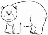Bear Coloring Pages Preschool Animals Printable sketch template