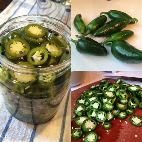 pickled jalapenos recipe recipe pickling jalapenos pickles