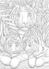 Tigre Tigers Malen Favoreads Zahlen Erwachsene Vorlagen Imprimer Desenhos Colorir Ausdrucken Wildtiere Adultos Malvorlagen Visuels épinglé Epingle Malbuch Weihnachtskatzen Animales sketch template