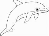 Dolphin Colorat Delfin Desene Animal Delfini Saltando Dolphins Fish Animale Planse Delfines Golfinho Delfinul Salbatice Colorir Desenhos Qdb Mamifere Conteaza sketch template