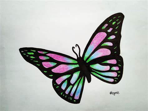 anime butterfly drawing